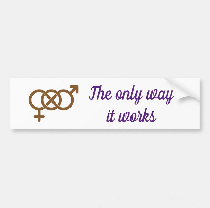 image of Male-female - the only way it works bumper sticker